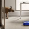 Dyson